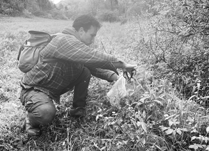 Foraging means feeding the land and letting it feed us
